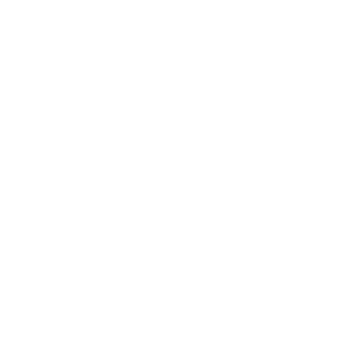 SVILUPPO E PROTOTIPIZZAZIONE